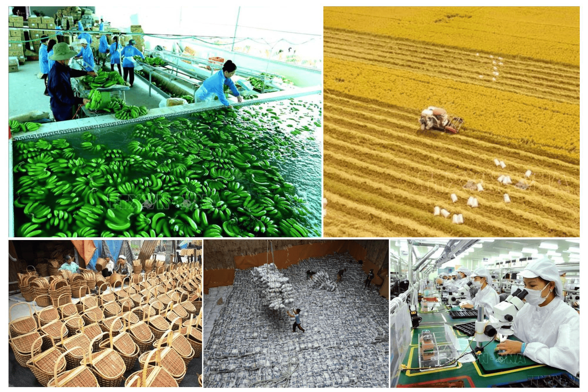 Không chỉ tác động mạnh mẽ, tích cực đến phát triển kinh tế - xã hội của Việt Nam, gia nhập WTO chính là “mở cánh cửa lớn” để Việt Nam bước vào “sân chơi” toàn cầu.