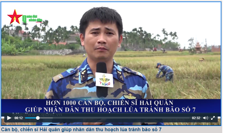 Hơn 1.000 cán bộ, chiến sĩ Hải quân giúp nhân dân gặt lúa tránh bão số 7